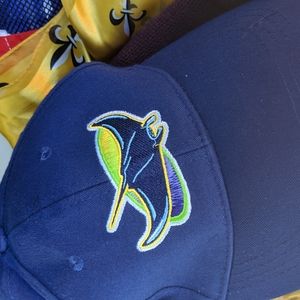 NWOT String Rays Cap